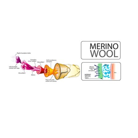 wełna merino schemat